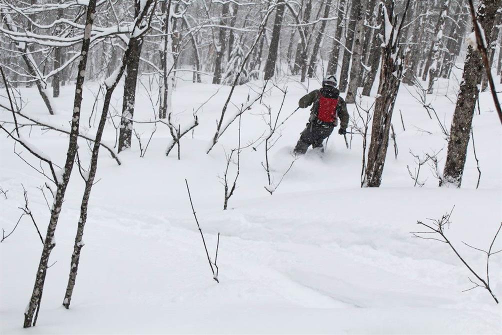 Circuits frontières (&copy;Circuits frontières)