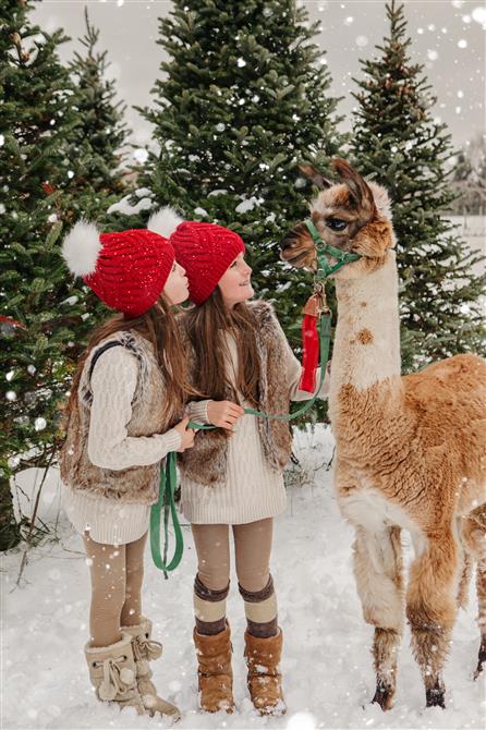 Verger Champêtre - Hiver (&copy;Verger Champêtre - Gîte & Compagnie)