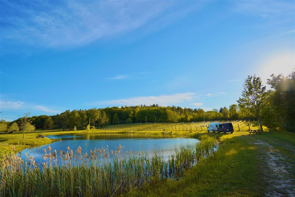 van vignoble (&copy;Bromont Campervan)