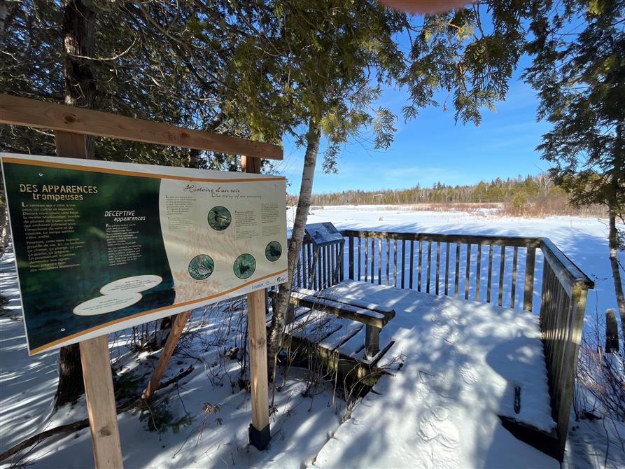 Sentier Marais (&copy;Société de gestion du Parc du lac Aylmer)