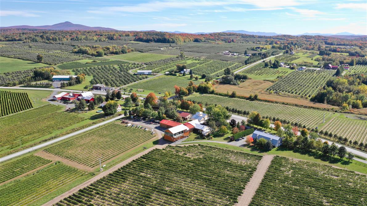 Vue aérienne du Vignoble de l'Orpailleur (&copy;Aerial view of the Orpailleur Vineyard)