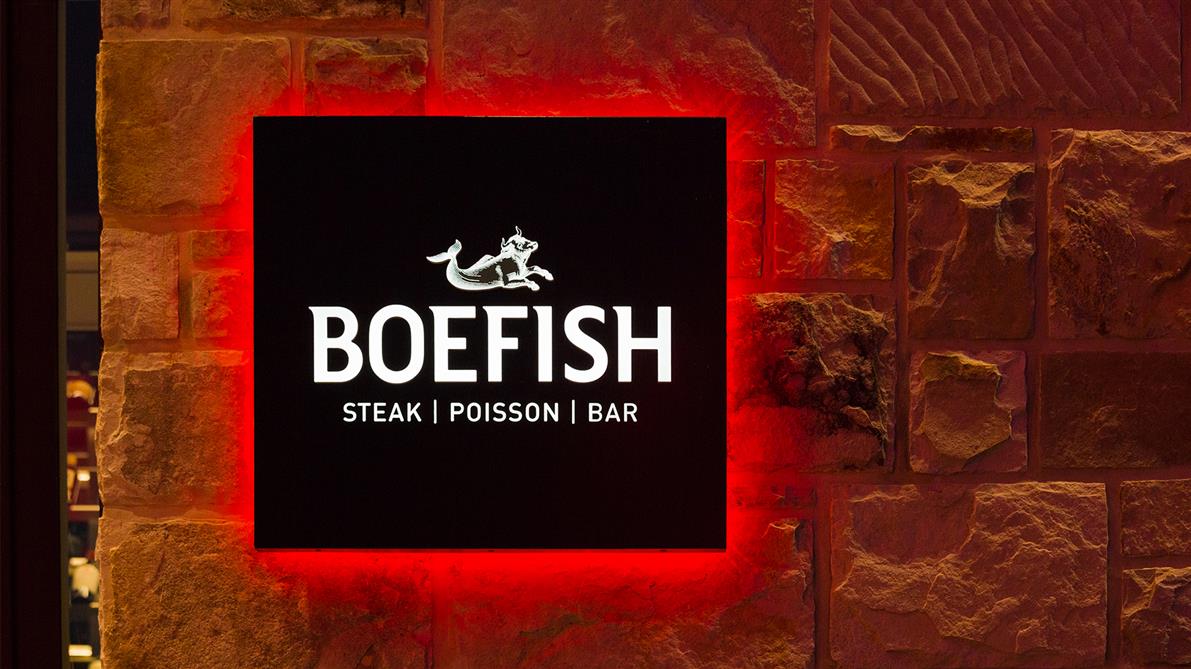 orphisme_photo_20170913-_28A4578-Modifier (&copy;Annie-Claude Bedard)